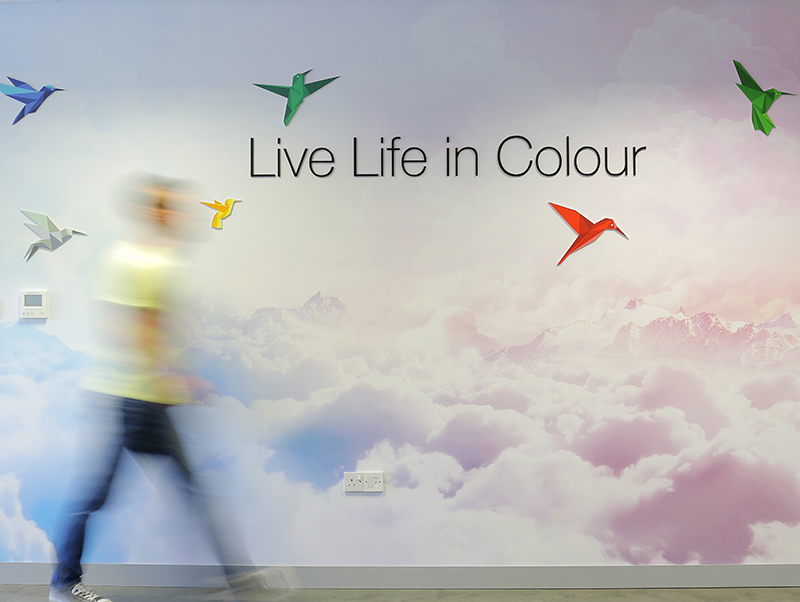 Live Life in Colour