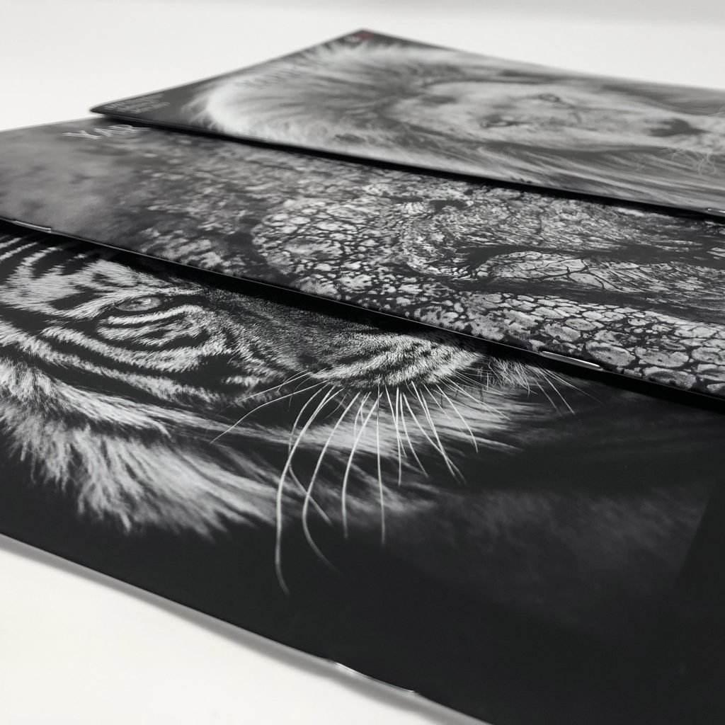 Photographic Art Brochure - High Quality Litho Print